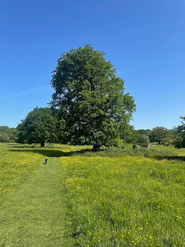 Hatfield Forest - Image 2