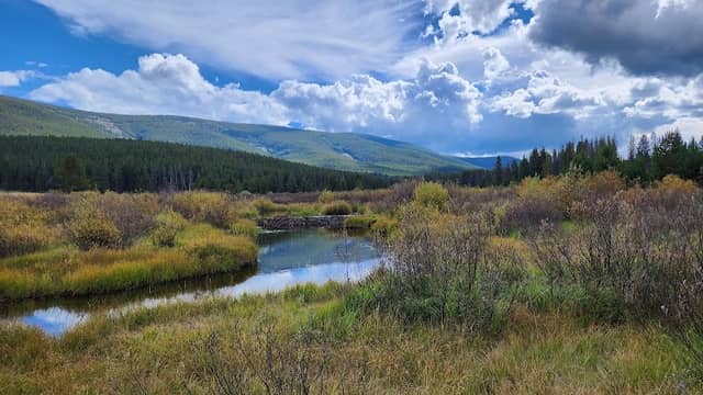 Lower Anderson Meadow - Image 3