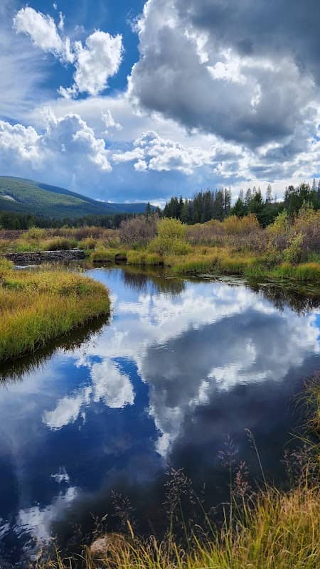 Lower Anderson Meadow - Image 1