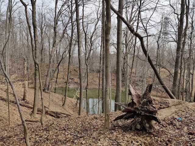 Hemlock Creek Trail - West Creek Conservancy - Image 1