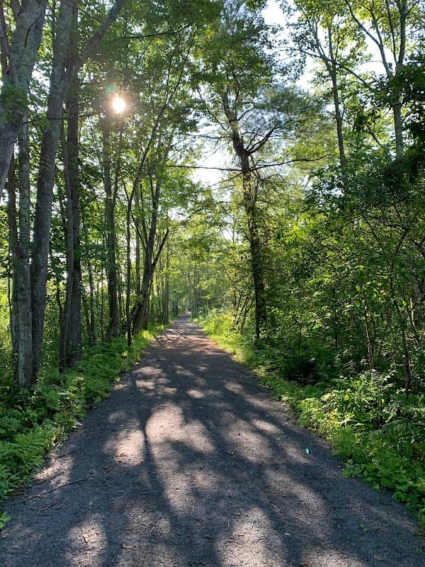 Bog Meadow Brook Nature Trail - Image 1
