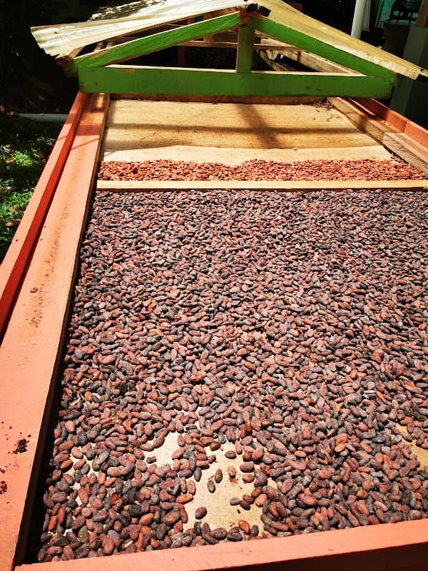 Costa Rica Best Chocolate - Image 2