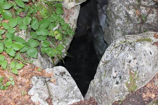 Karlsohr - Image 1