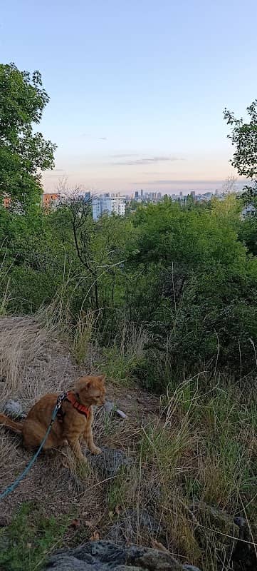 Božkov vrch - Image 1