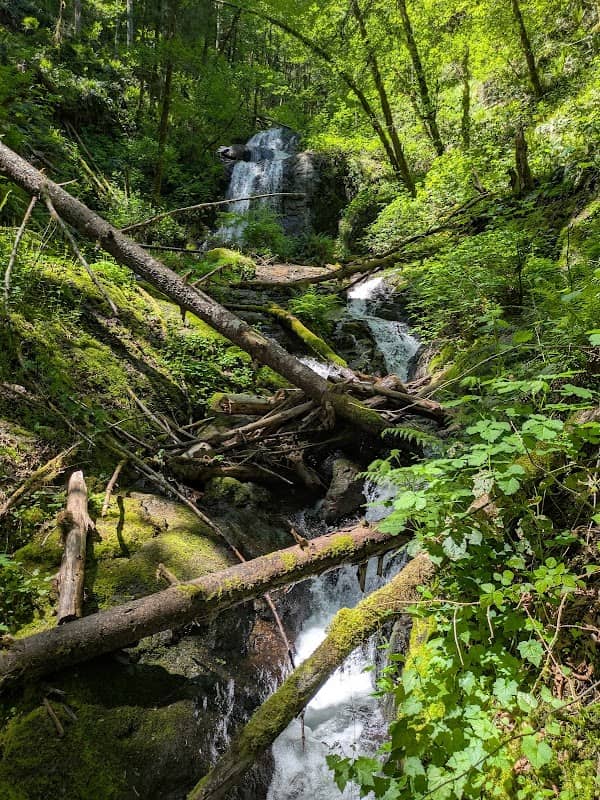 Big Alder Creek Falls - Image 2