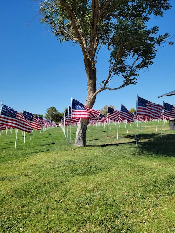 Freedom Park - Image 1