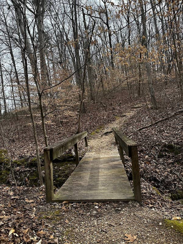 Elsie A. Holmes Nature Park - Image 2