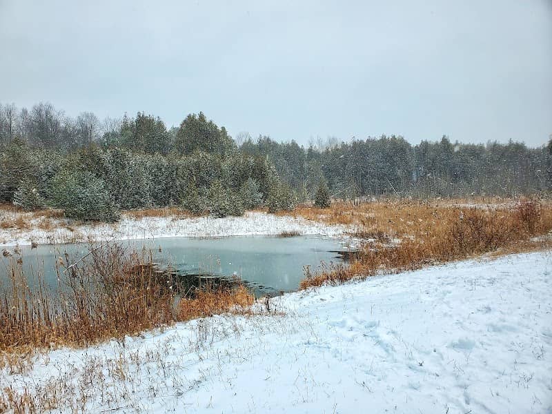 Honey Twin Ponds - Alpha Pond - Image 1