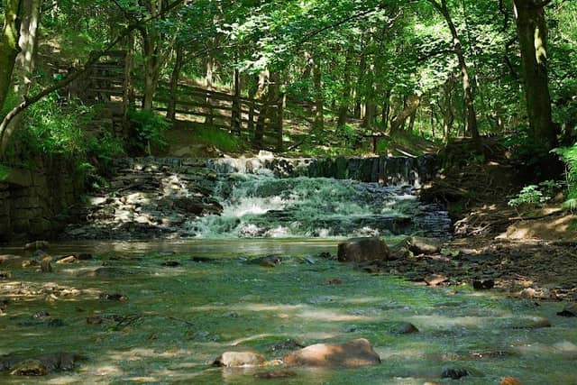 Edenfield Waterfall - Image 3