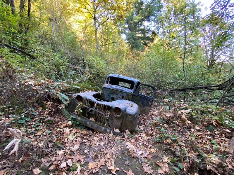 Mount Scott Nature Park - Image 2