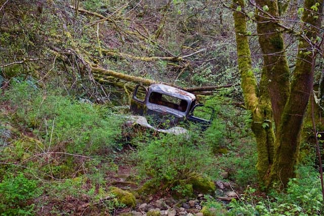 Mount Scott Nature Park - Image 3