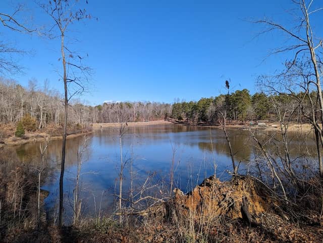 Prince Edward-Gallion State Forest - Image 2