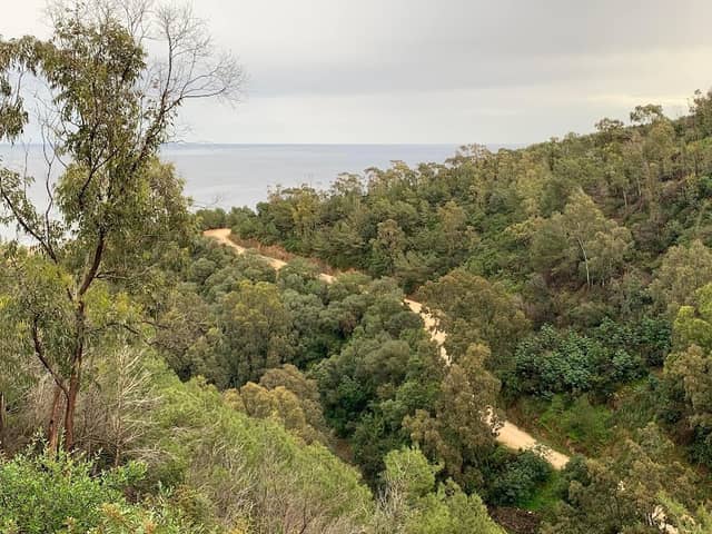 Forêt bainem vue sur mer - Image 2