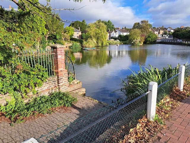 Lindfield Common - Image 1