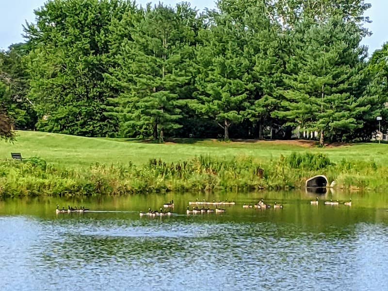 Windsor Ridge Park - Image 2