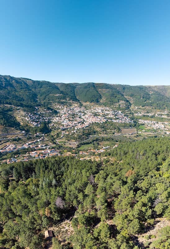 Viveiro das Moitas - Image 1