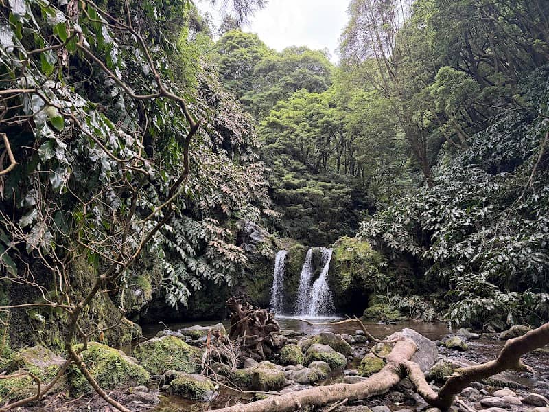 Insta-Gold Waterfall - Image 1