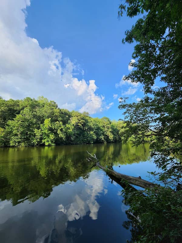 Mariners' Lake Natural Area - Image 3