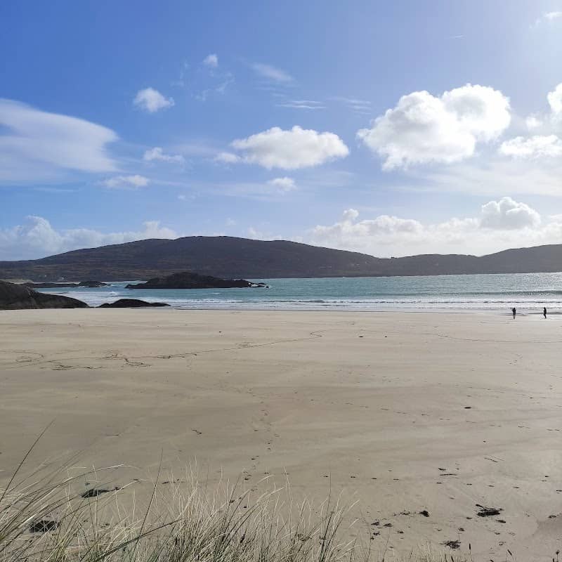 Atlantic Irish Seaweed - Image 1