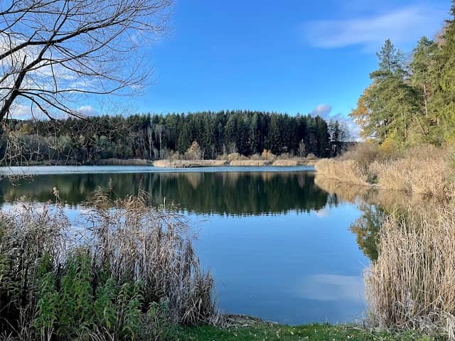 Linsenbergweiher - Image 1