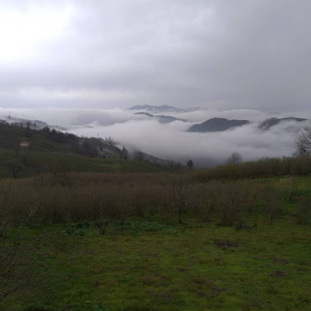 Öreniçi Mahallesi - Image 1