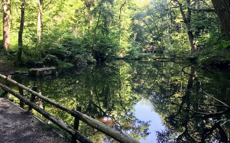Molenbeek dam - Image 1