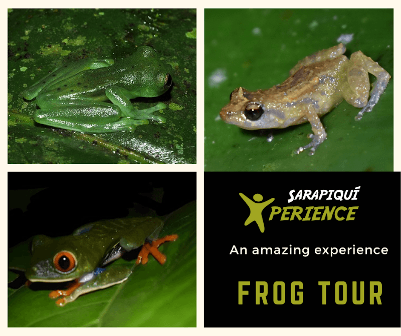Sarapiquí Xperience - Image 2