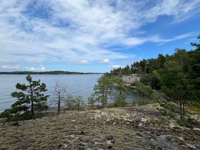 Djupvikens naturreservat - Image 1