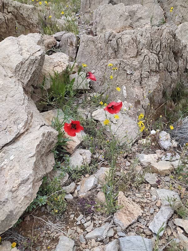 کوه خاطره ها - Image 1