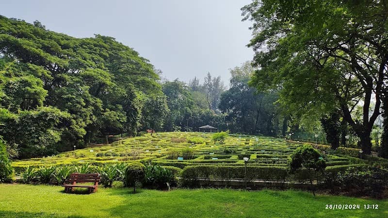 City forest - Image 1