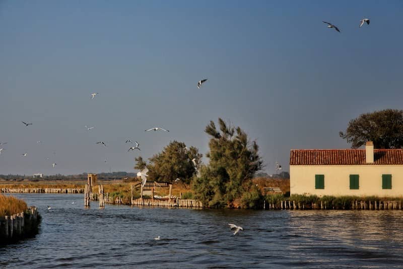 Valle di Comacchio - Image 2