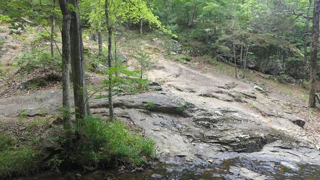 Cedar Falls Creek - Image 1