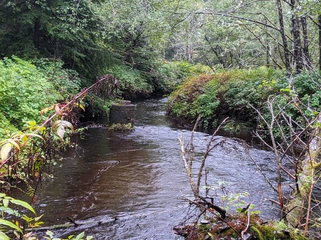 McClymont Park Trail - Image 2