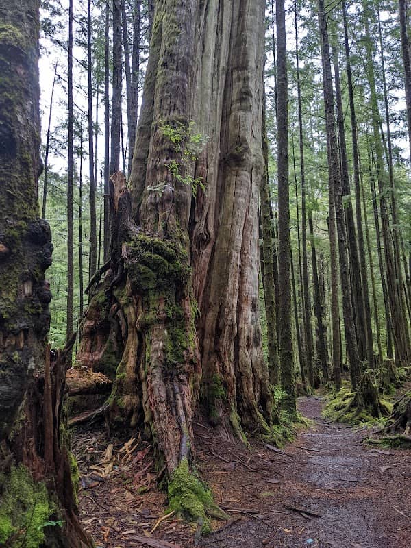 McClymont Park Trail - Image 1