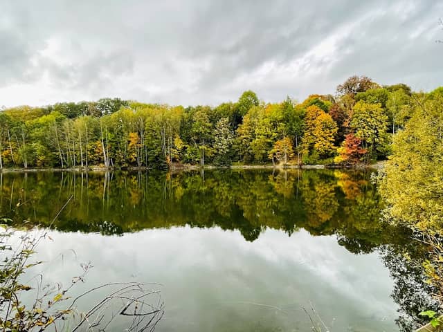 Lettenbachsee - Image 1