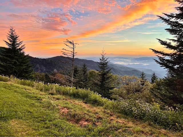 Waterrock Knob - Image 2