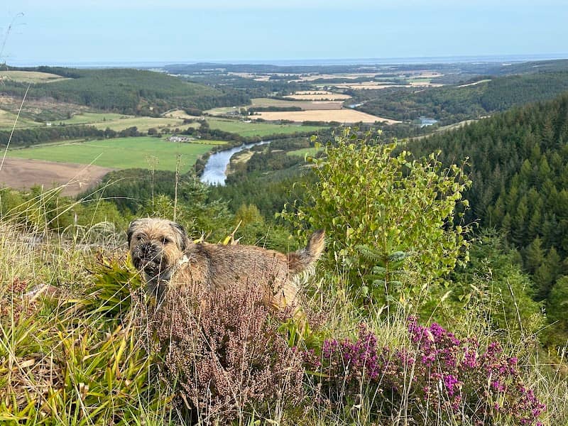 Speyside Viewpoint - Image 1