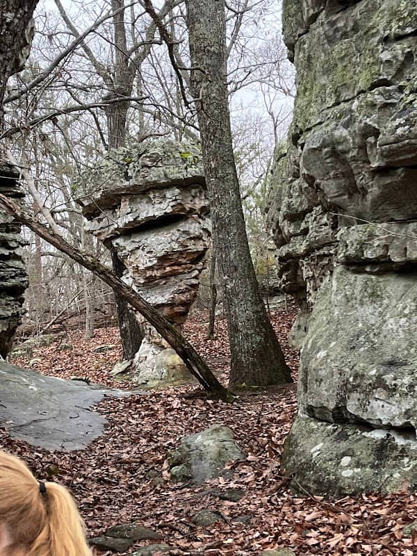 Rocktown Trailhead - Image 2