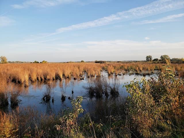 Pipe Creek Wildlife Area - Image 2