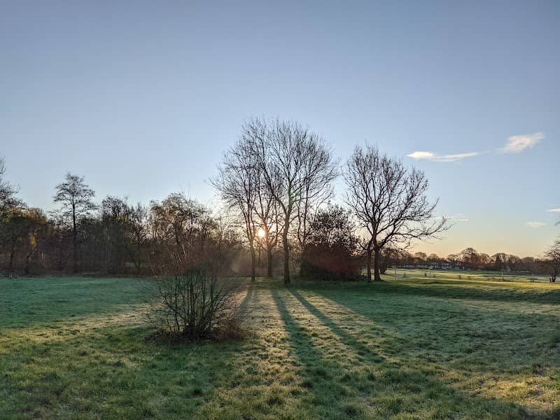 Leverhulme Park - Image 1