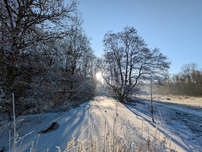 Leverhulme Park - Image 3