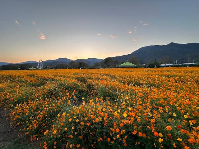 남양주 물의정원 - Image 1