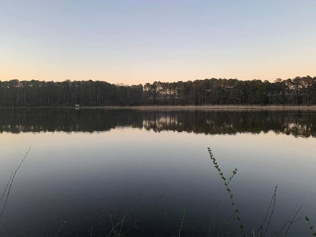 Wood Duck Nature Preserve - Image 2