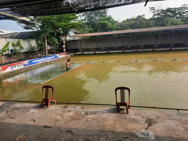 PEMANCINGAN TENGKELE - Image 1
