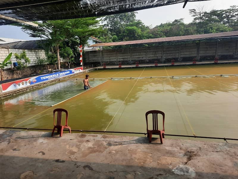 PEMANCINGAN TENGKELE - Image 1