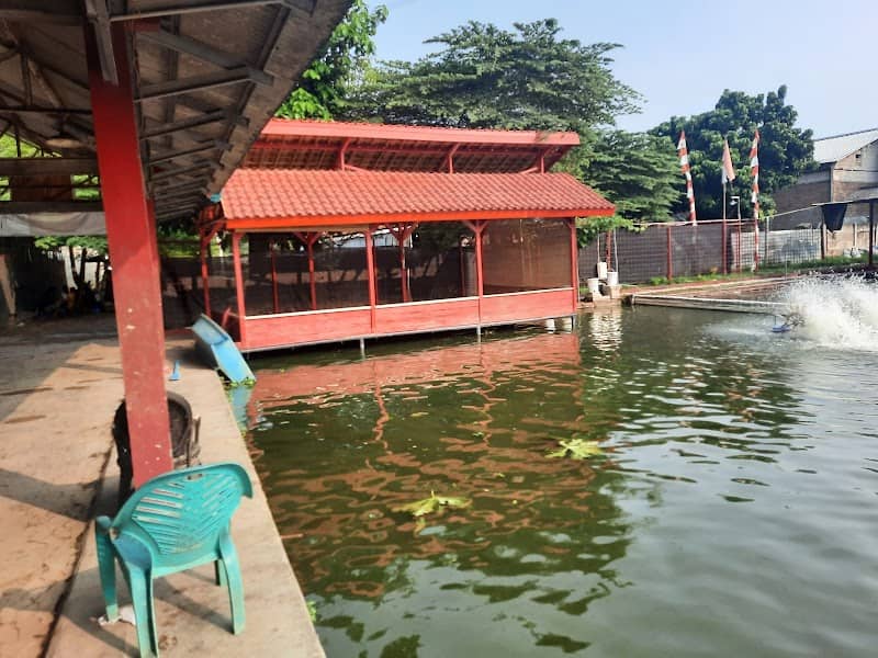 PEMANCINGAN TENGKELE - Image 2