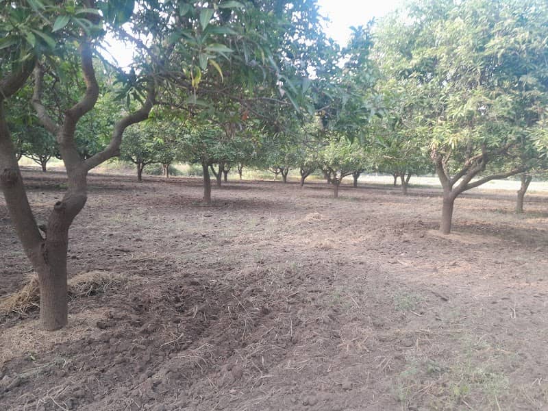 Ponnam Ravi Gardens - Image 1