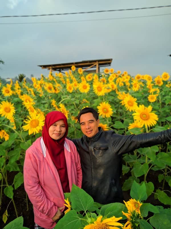 Darmaga alam - Image 1