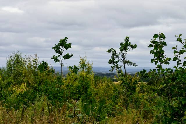 Sand Hill - Image 1
