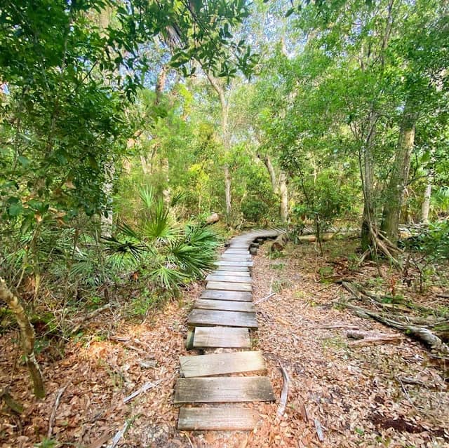 Mala Compra MTB Trail - Image 2